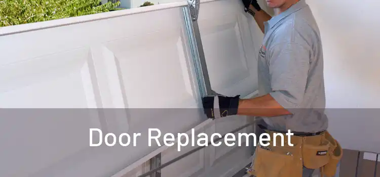  Door Replacement 