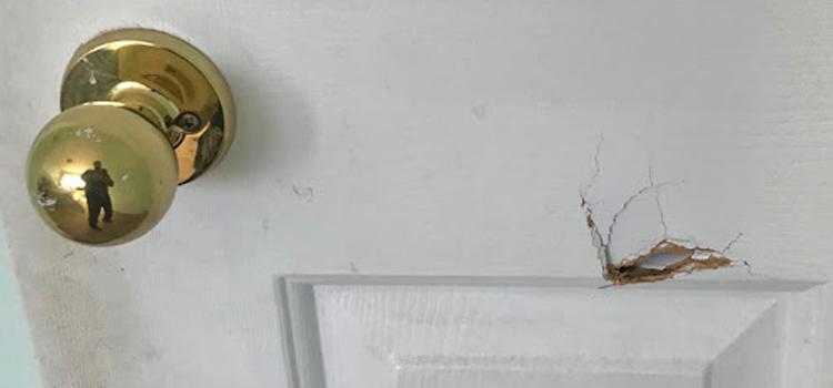 interior door hole repair Davis